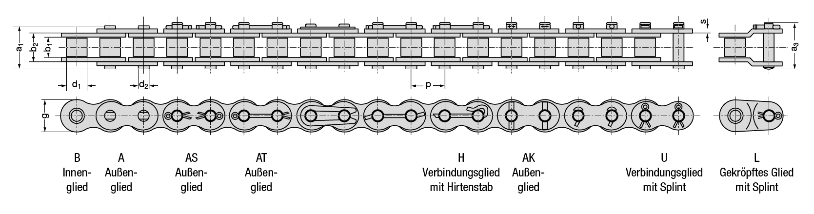 REXNORD Steckglied