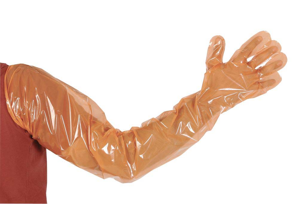 VETbasic Einmalhandschuhe Universalgröße